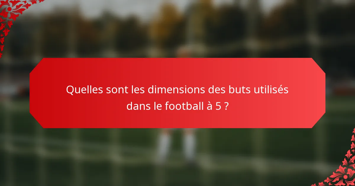 Quelles sont les dimensions des buts utilisés dans le football à 5 ?